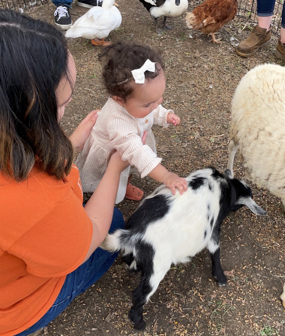 farmers market party petting zoo and activities, games and more! Take a trip to the farm