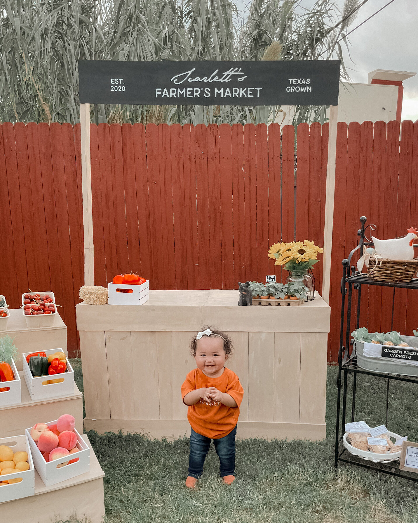 Scarlett at the photo op area of her Farmers Market first birthday!