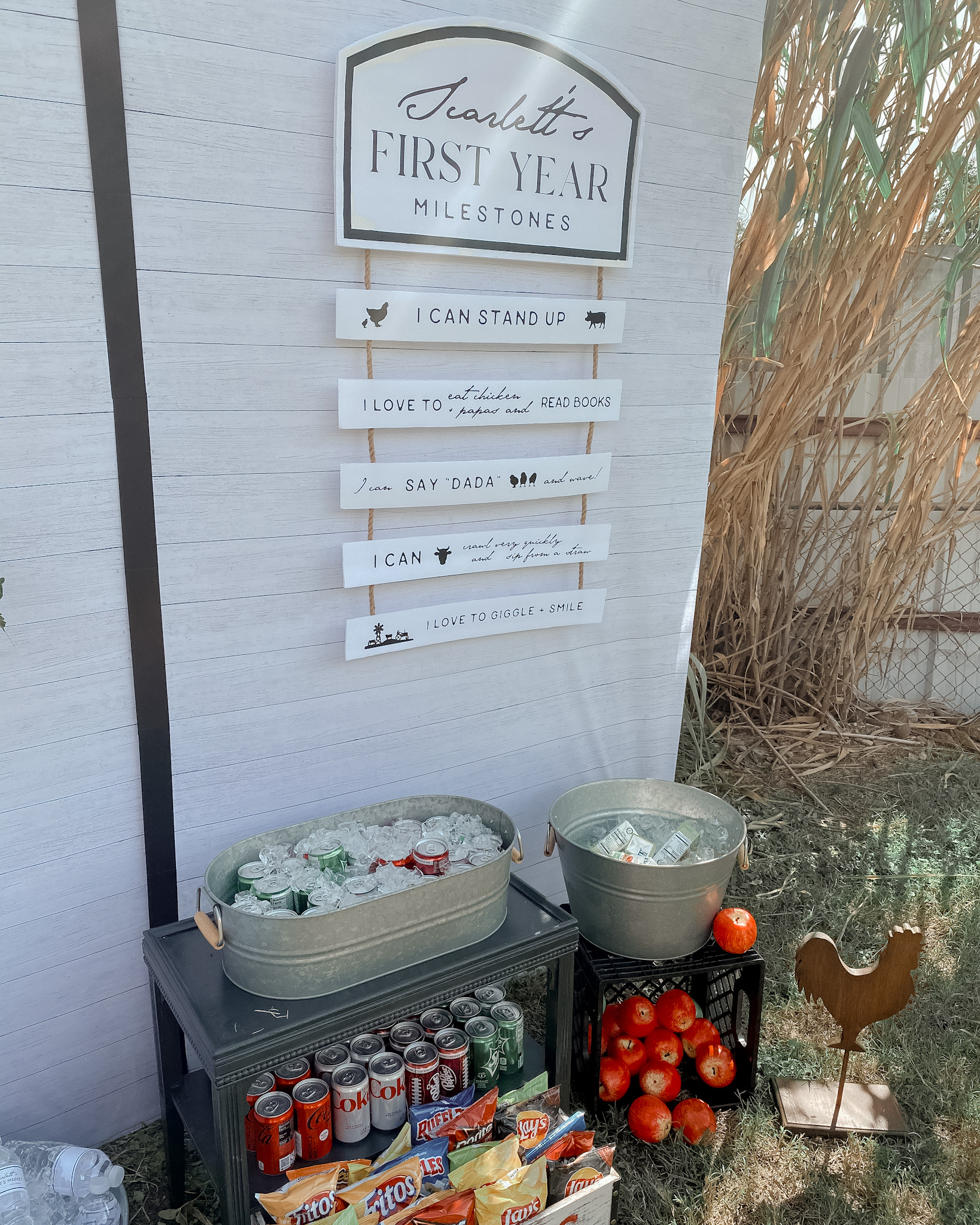 Newborn to 1st year milestone display for the farmers market first birthday party!